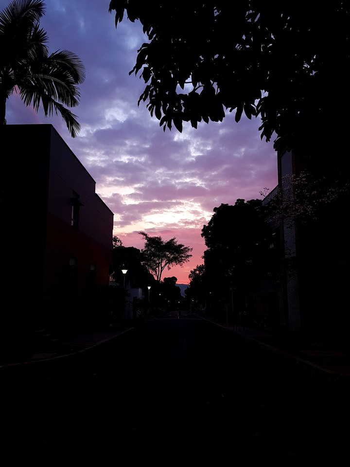 The coming night