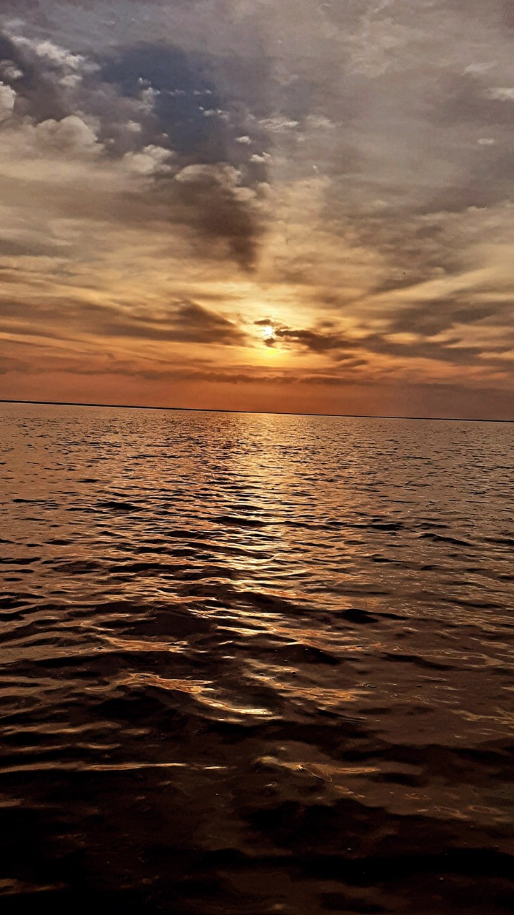 Water