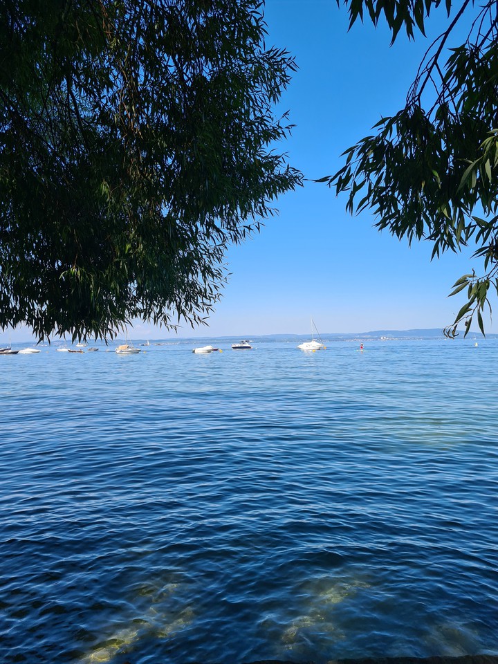 Lake
