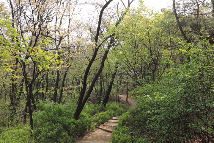 산책