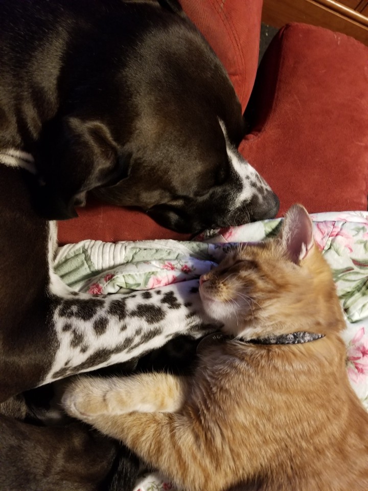 My best friends.
