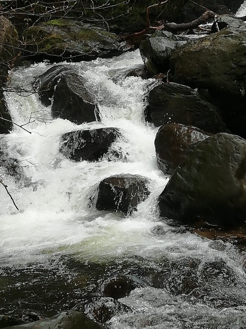 river, stream háttérképek