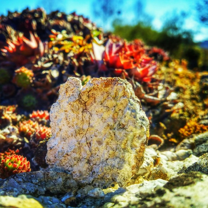 Stone