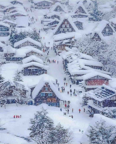 winter