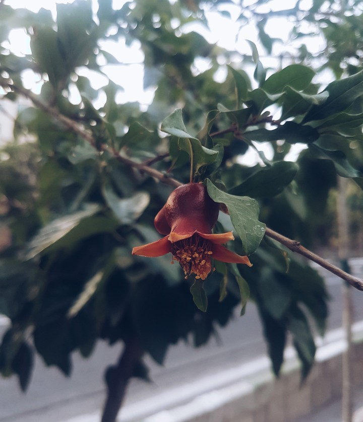 by me