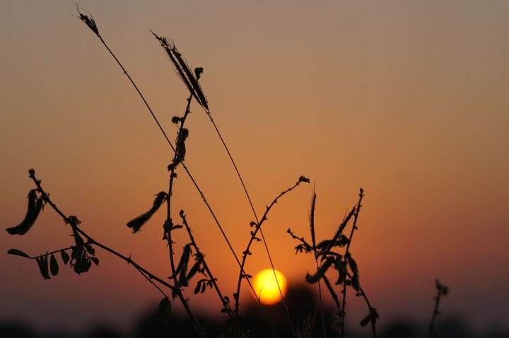 wake up call » Good morning...°°sunny day