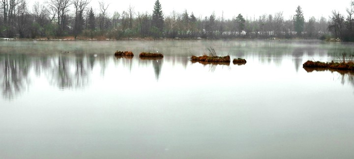 See mit Nebel