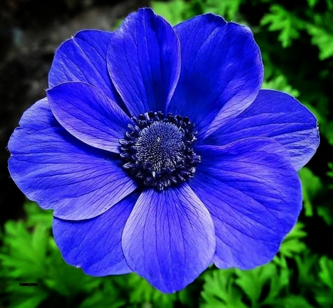 Have a nice day
