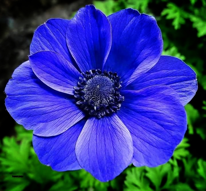 Have a nice day