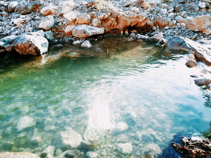 water