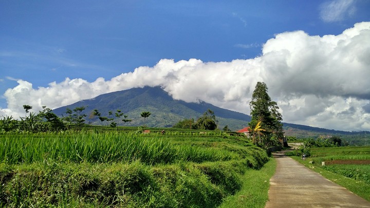 Village