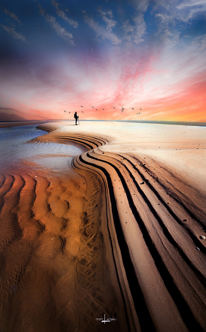 The Art of the Sea