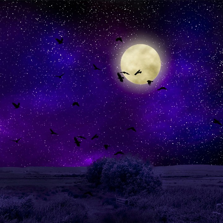 Night