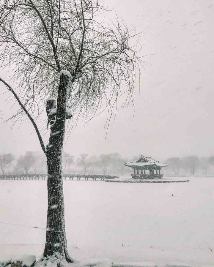 Snowscape