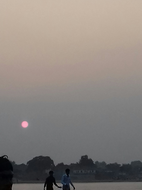 sun said