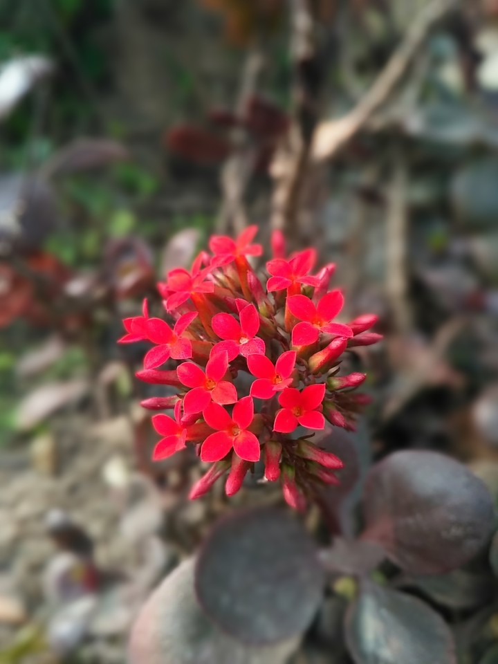 Beauty of Color