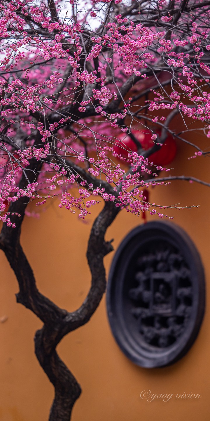 Spring scenery
