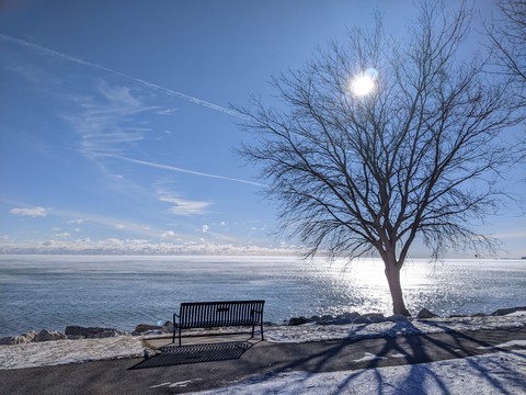 branch, daytime Hintergrundbilder