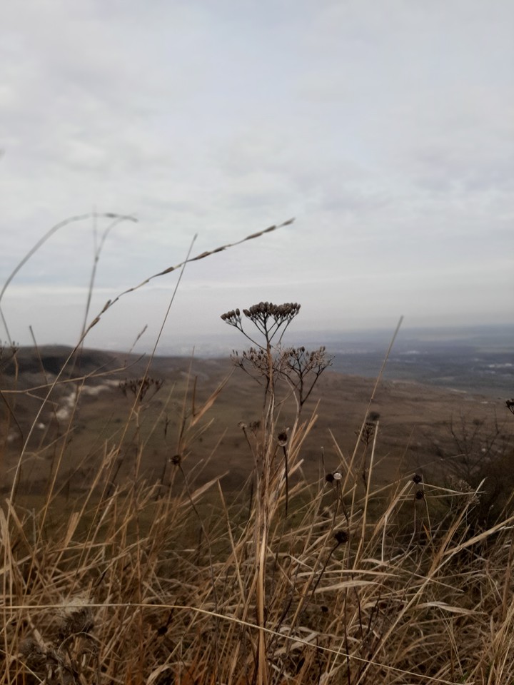 осень