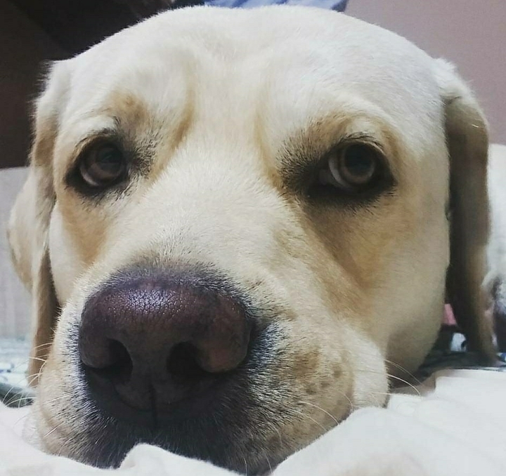 Relaxing