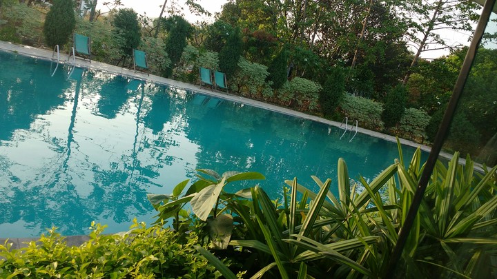 pool