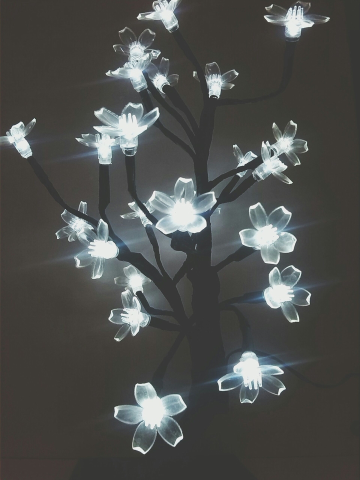 tree of light
