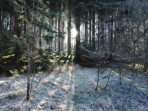 Wintertraum