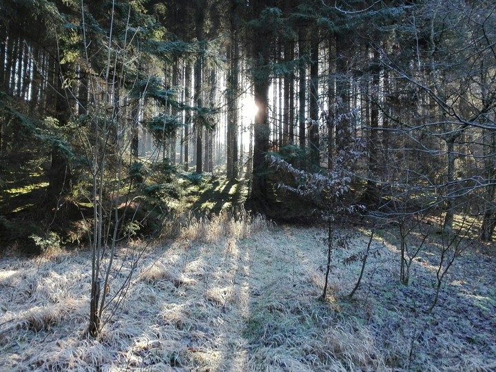 Wintertraum