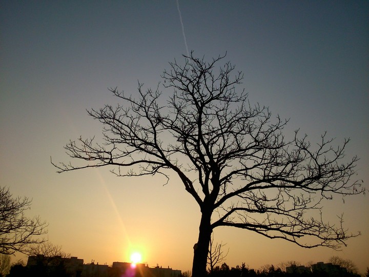 one morning