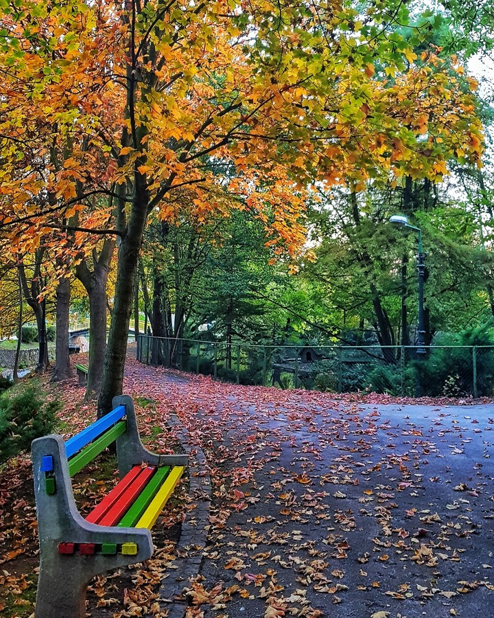 psithurism (n.) the sound of rustling leaves.