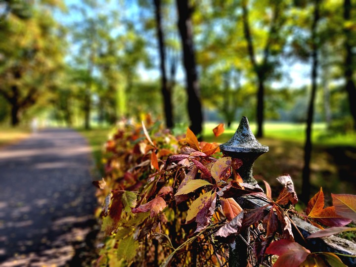autumn