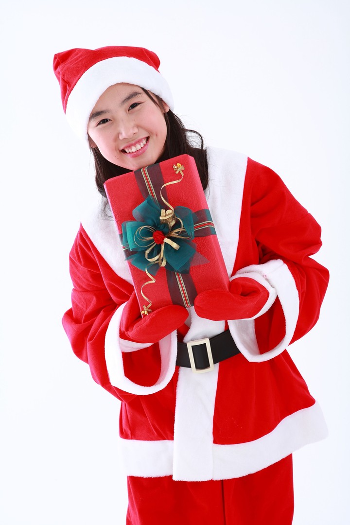 Christmas Costume
