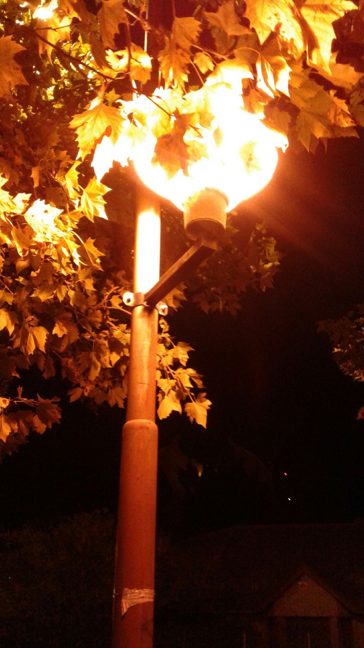 Noche Neuquina