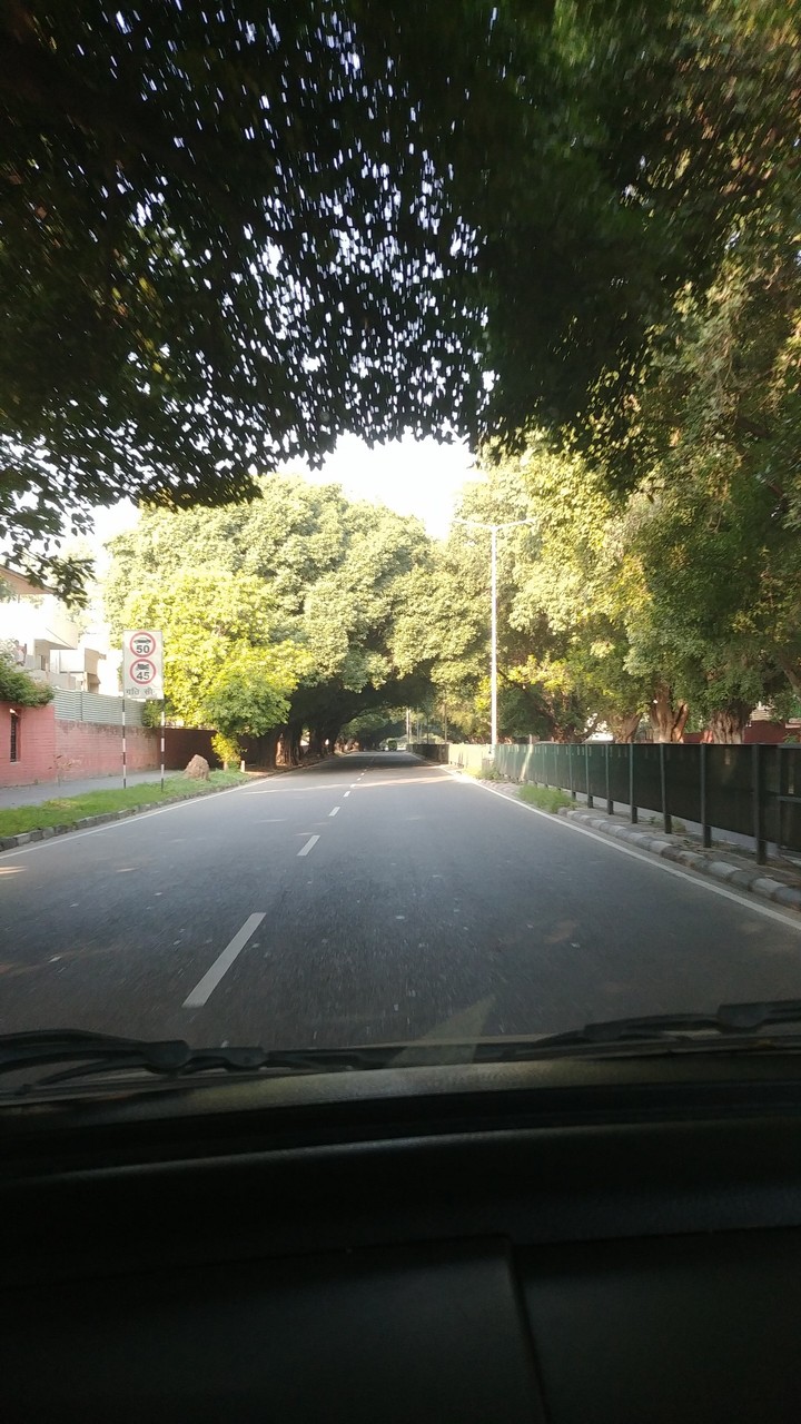 morning drive.