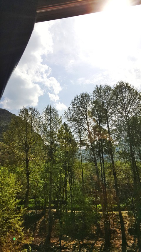 Kalam Pakistan ❤