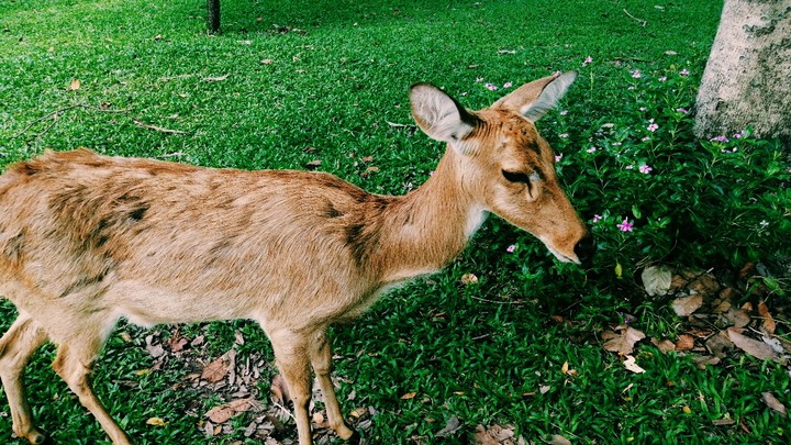 Zoo.