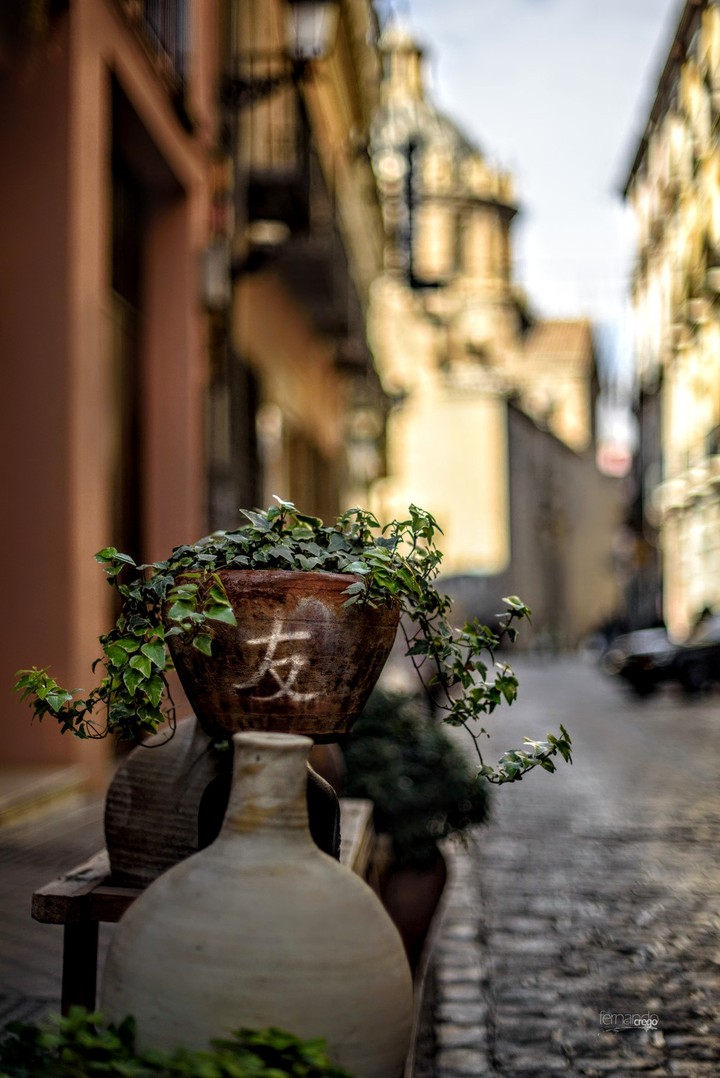 Granada