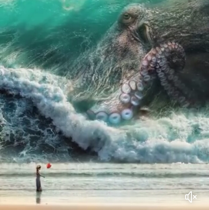 octopus