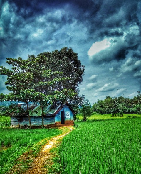 Nature beauty