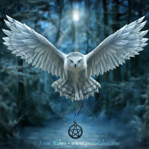 Snow Owl