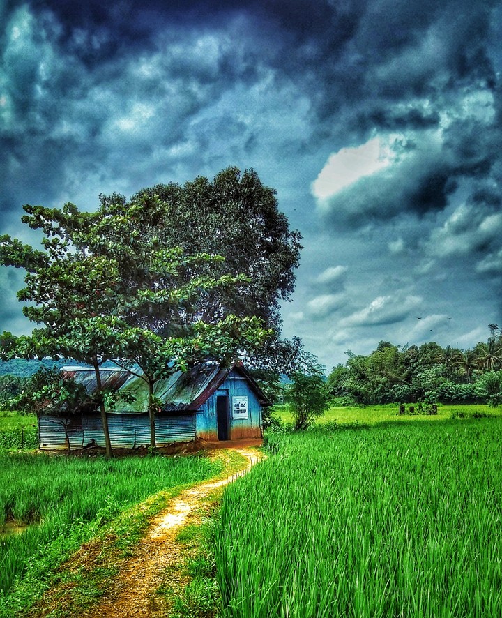 Nature beauty
