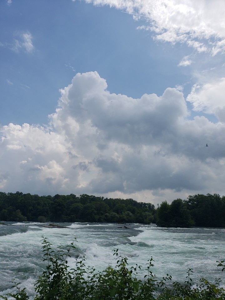 Niagara
