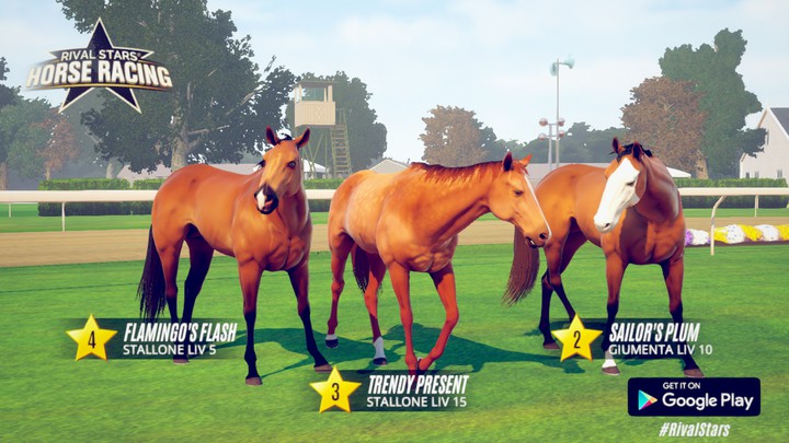 horses