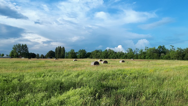Landscape on a windy day