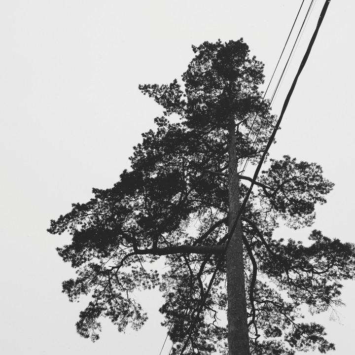black & White