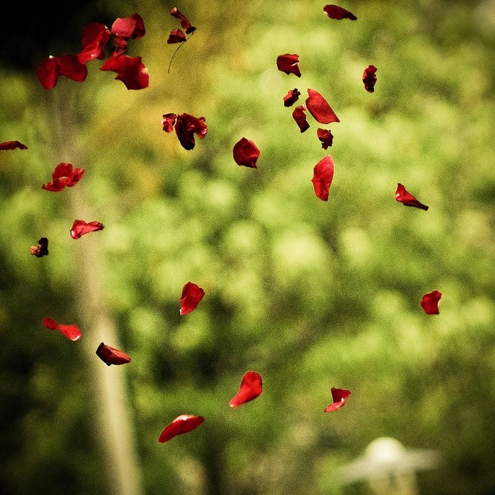 Beautifull