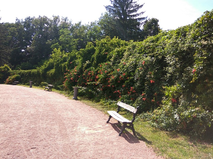 скамейка