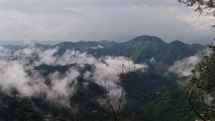 shimla