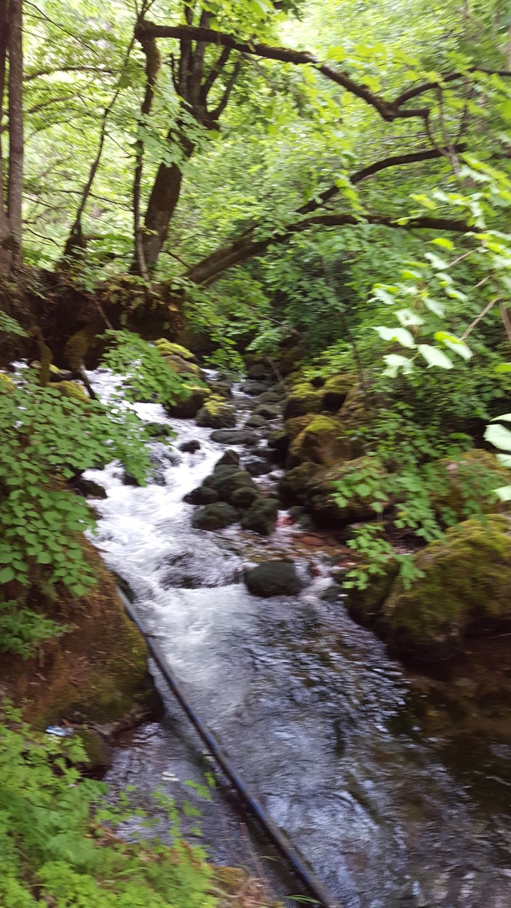 Drini i Bardhë, Kosovë