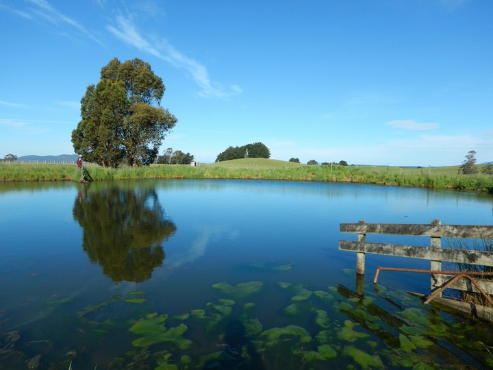 calm place